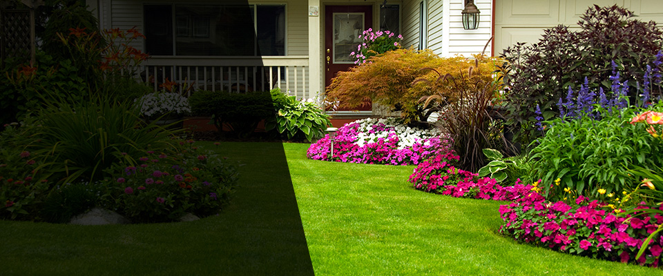 Dalhart Landscapers